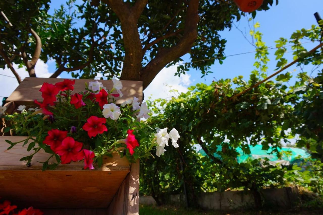 B&B Villa Del Sole Gizzeria Extérieur photo