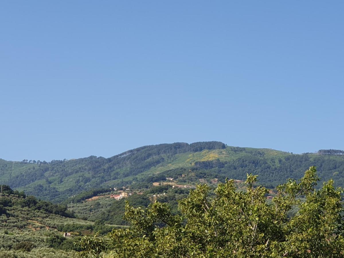 B&B Villa Del Sole Gizzeria Extérieur photo